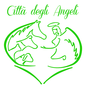 Citta degli angeli